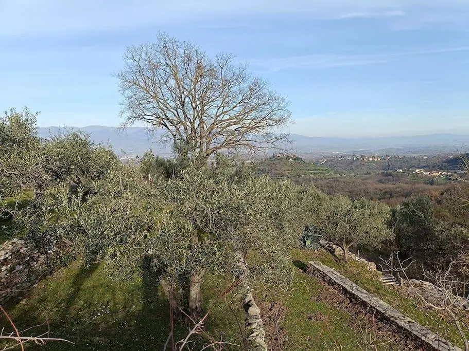 B&B Luceto Chianti Cavriglia 0*,