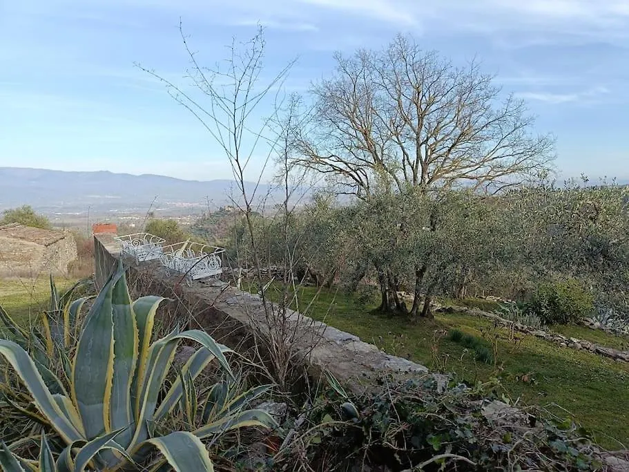 B&B Luceto Chianti Cavriglia Villa