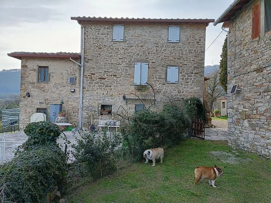 Villa B&B Luceto Chianti Cavriglia Italia